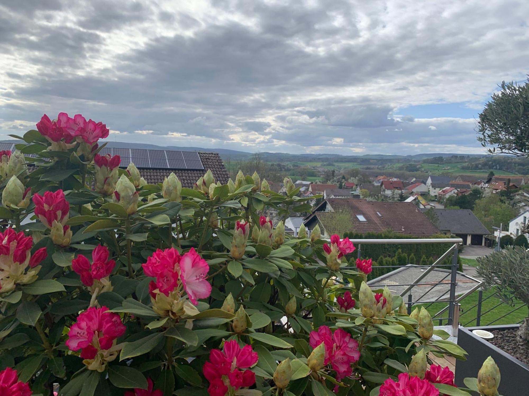 Am Sonnenhang Hilzingen Luaran gambar
